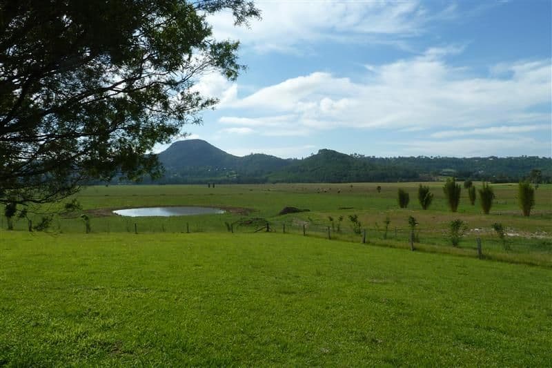 253 Yandina/Bli Bli Road, BLI BLI QLD 4560, Bli Bli - Image 1
