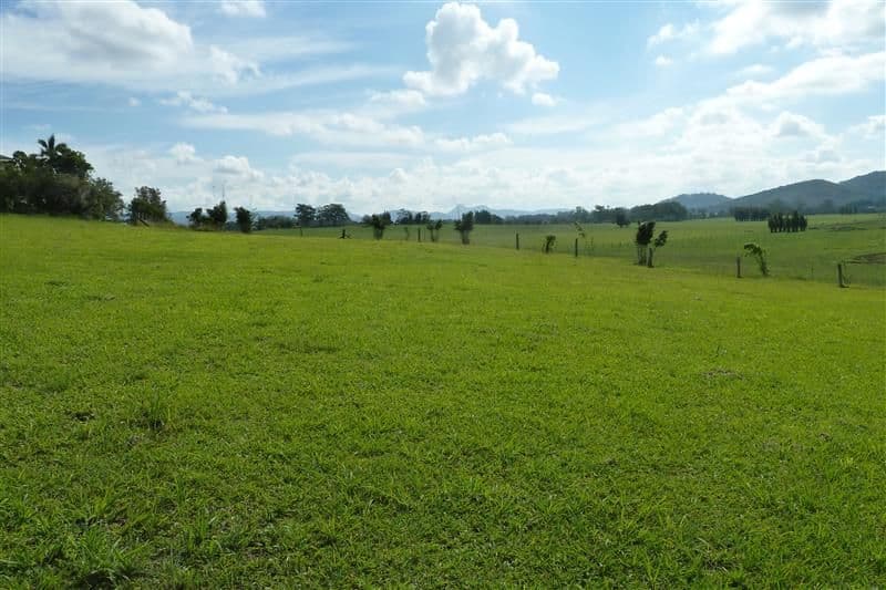253 Yandina/Bli Bli Road, BLI BLI QLD 4560, Bli Bli - Thumbnail 3