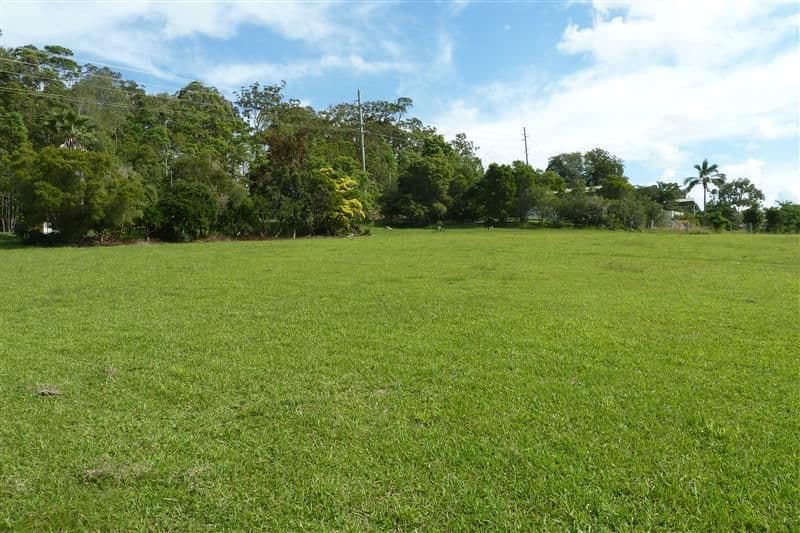 253 Yandina/Bli Bli Road, BLI BLI QLD 4560, Bli Bli - Thumbnail 4