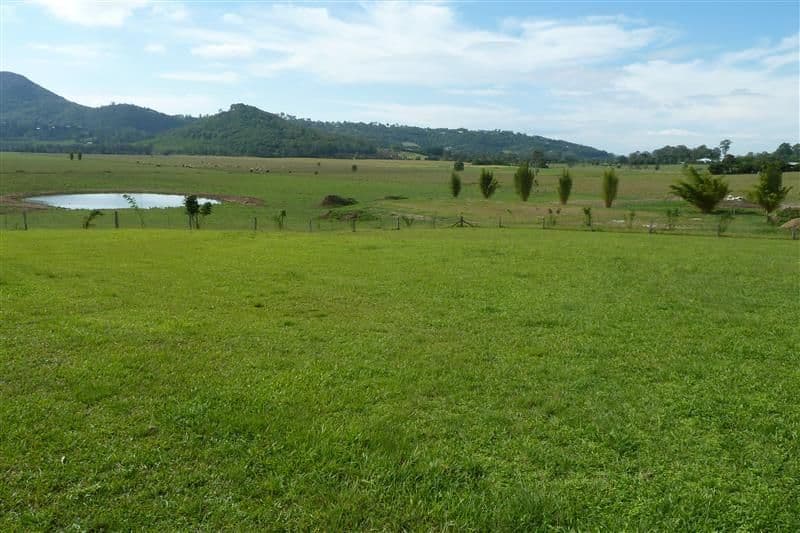 253 Yandina/Bli Bli Road, BLI BLI QLD 4560, Bli Bli - Thumbnail 6