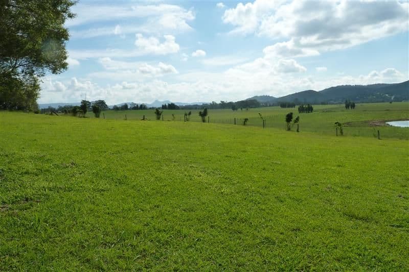 253 Yandina/Bli Bli Road, BLI BLI QLD 4560, Bli Bli - Thumbnail 7