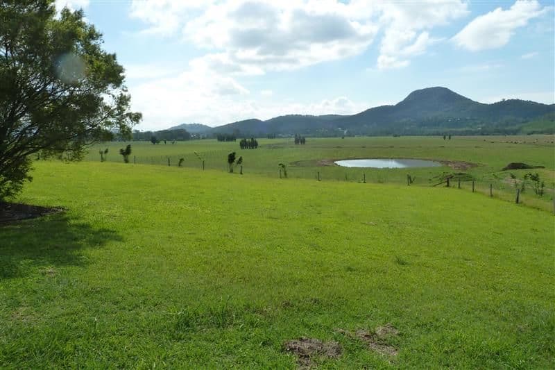 253 Yandina/Bli Bli Road, BLI BLI QLD 4560, Bli Bli - Thumbnail 8