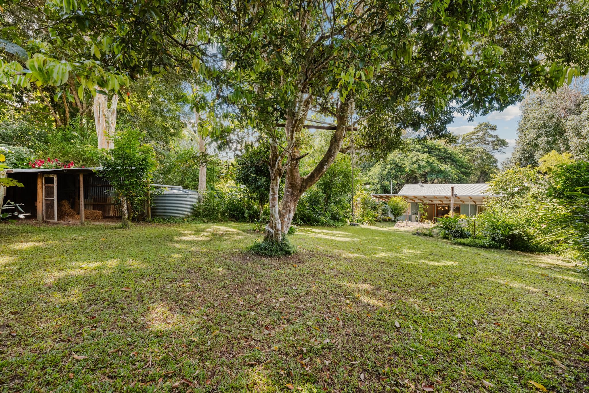 21 Scrub Street, Kuranda QLD 4881, Kuranda - Thumbnail 2