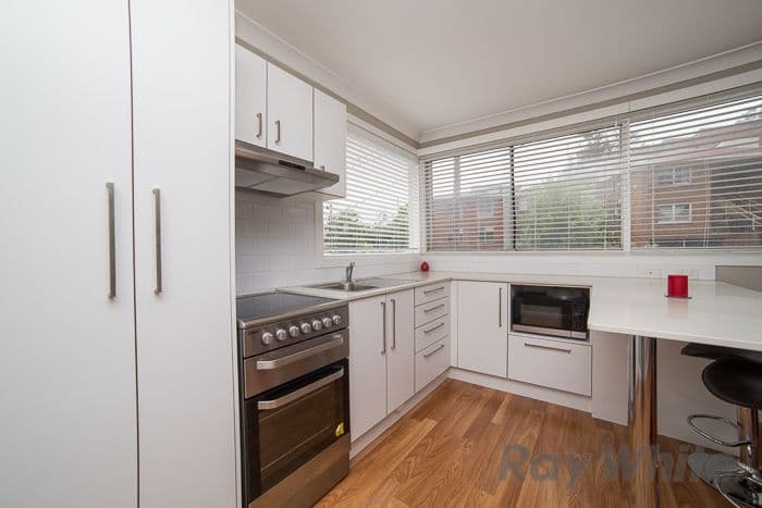 4 Mosbri Crescent, THE HILL NSW 2300, The Hill - Thumbnail 3