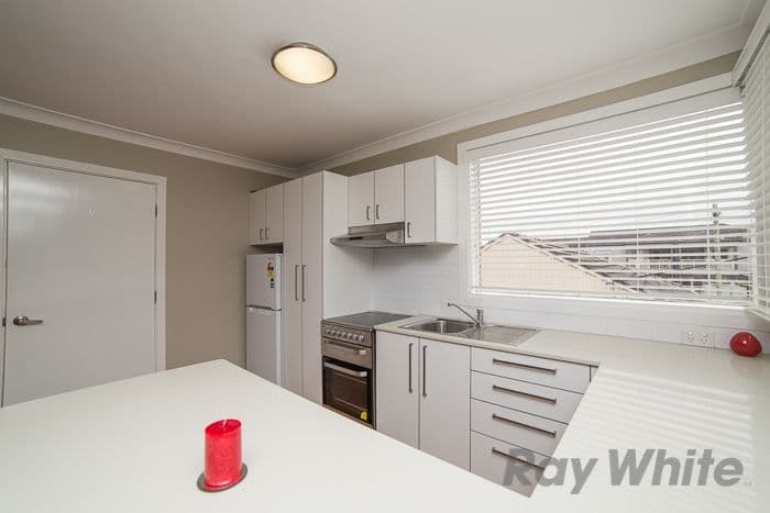 4 Mosbri Crescent, THE HILL NSW 2300, The Hill - Thumbnail 5