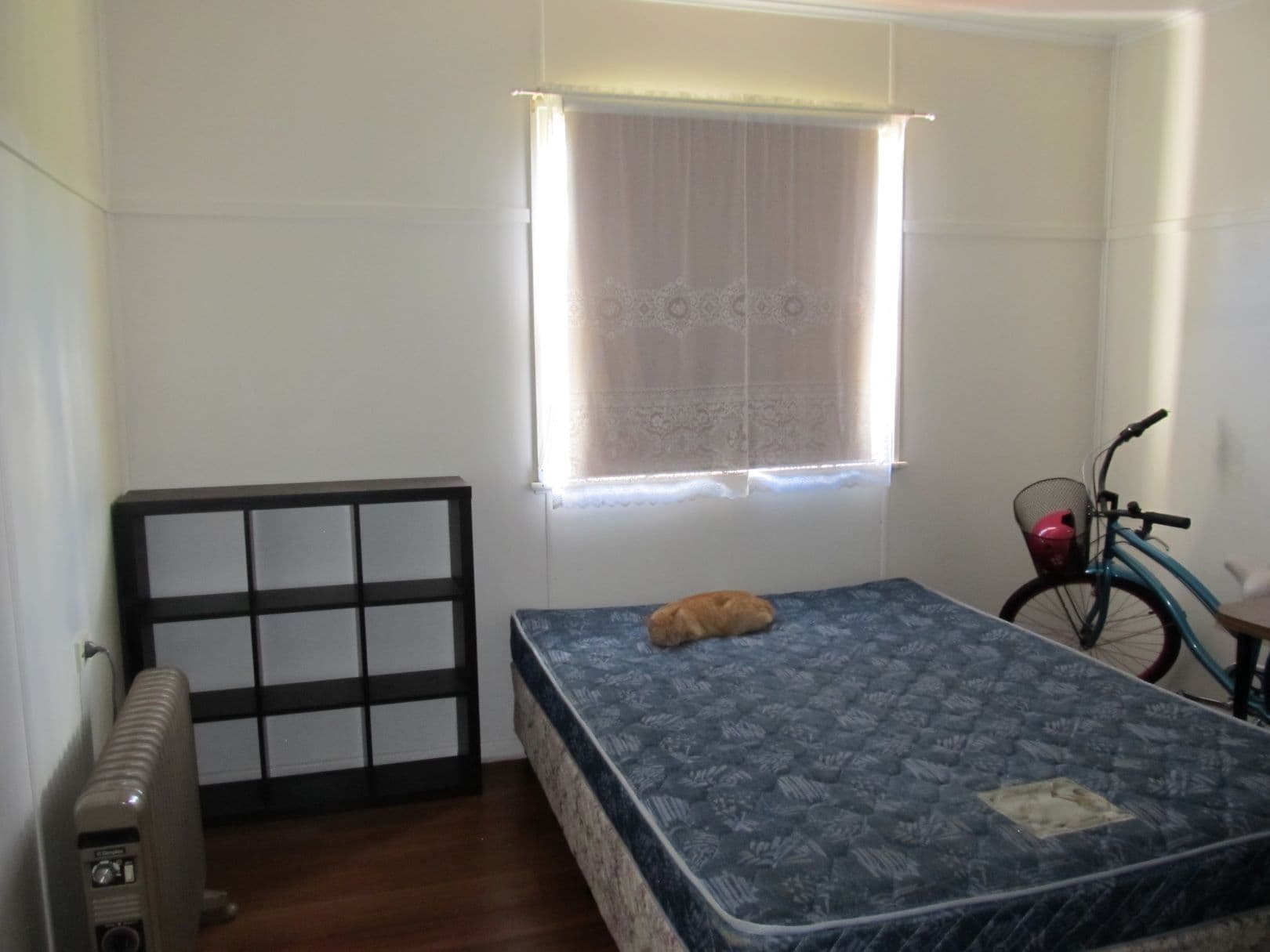 62 Underwood Crescent, Harristown QLD 4350, Harristown - Thumbnail 5