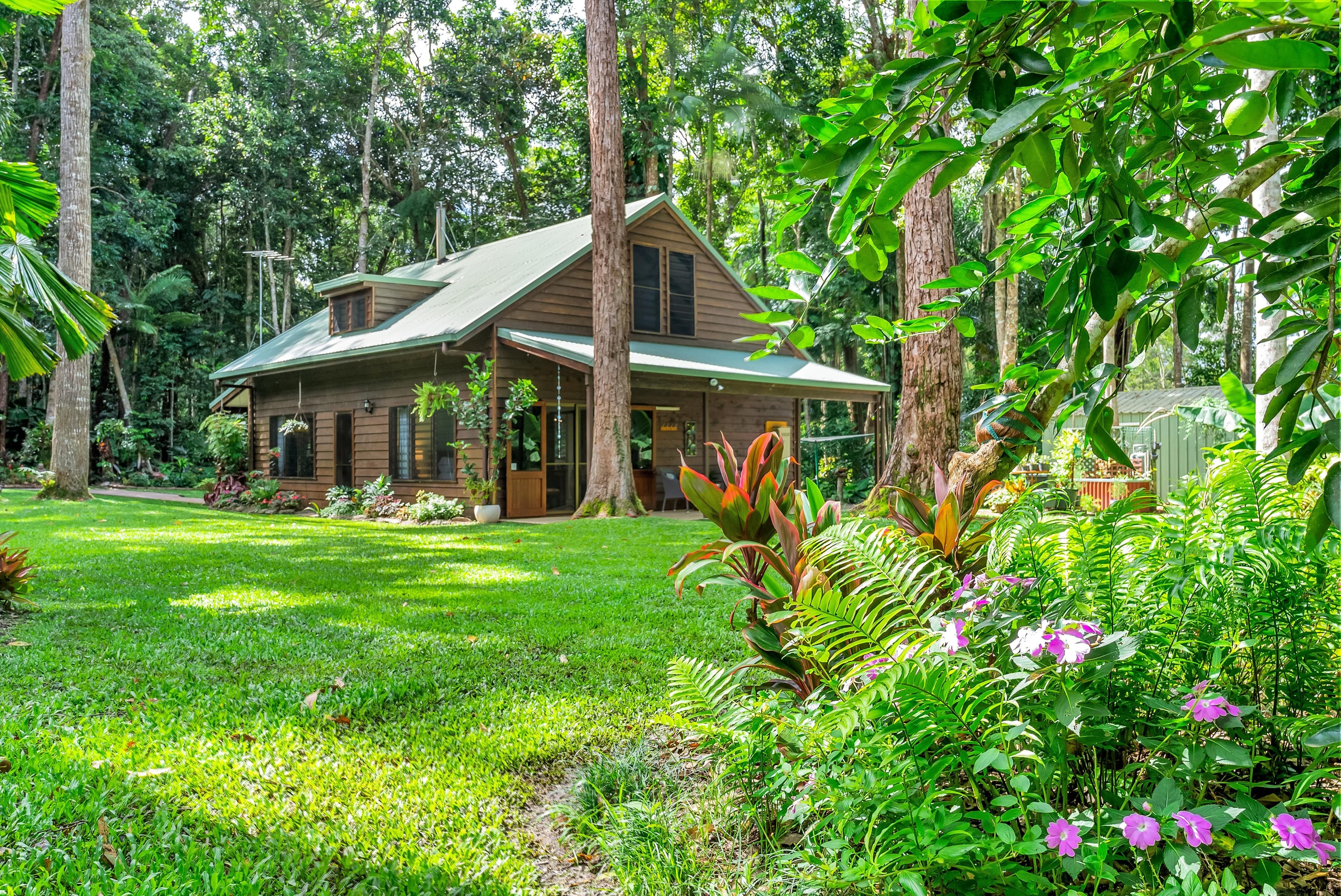 41 Butler Drive, Kuranda QLD 4881, Kuranda - Thumbnail 2