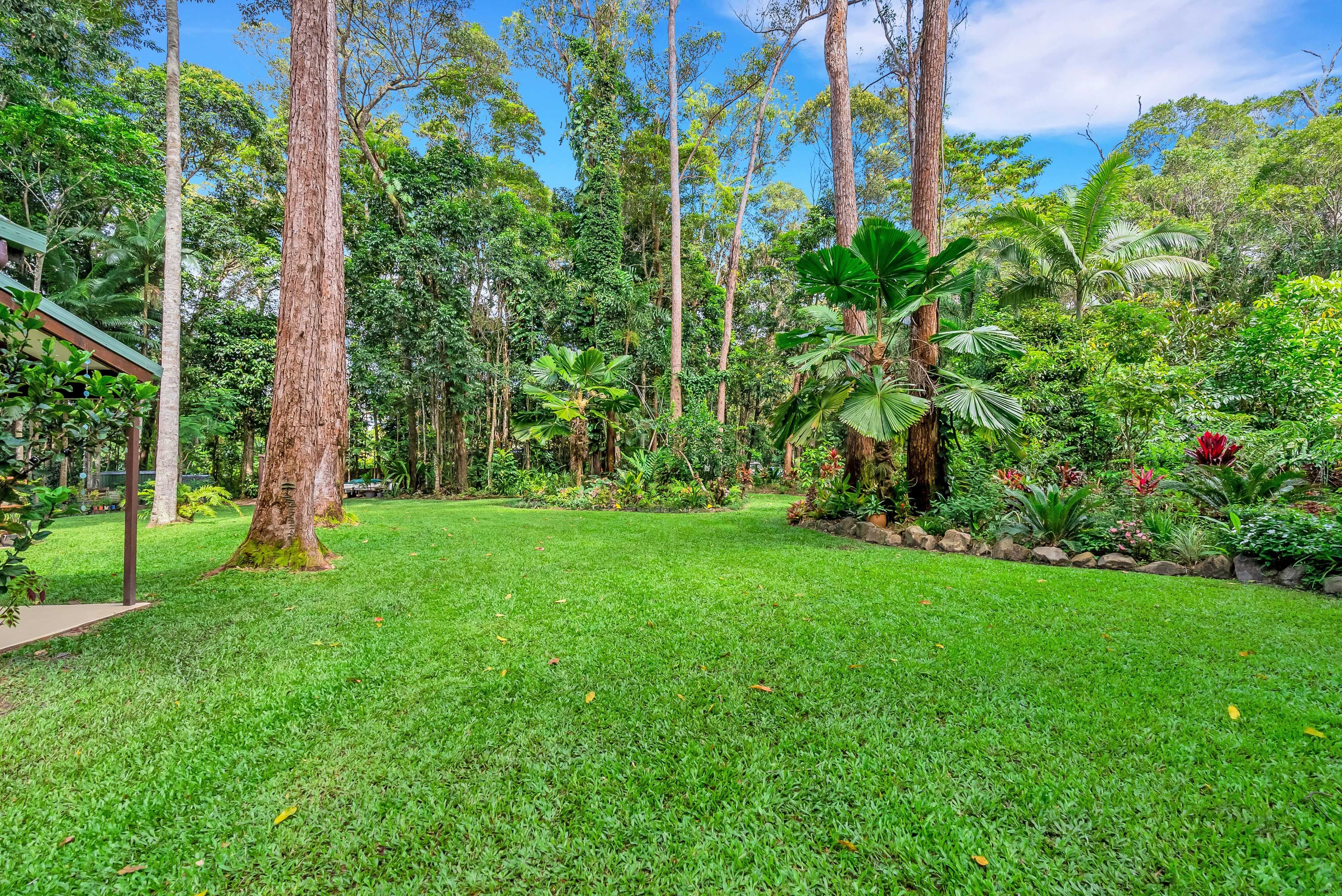 41 Butler Drive, Kuranda QLD 4881, Kuranda - Thumbnail 3