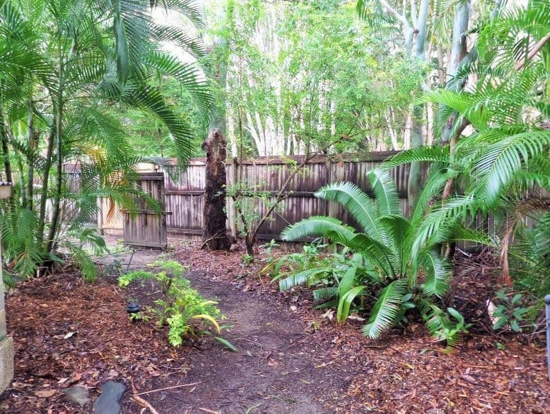 98 Marlin Drive, WONGA QLD 4873, Wonga Beach - Thumbnail 7