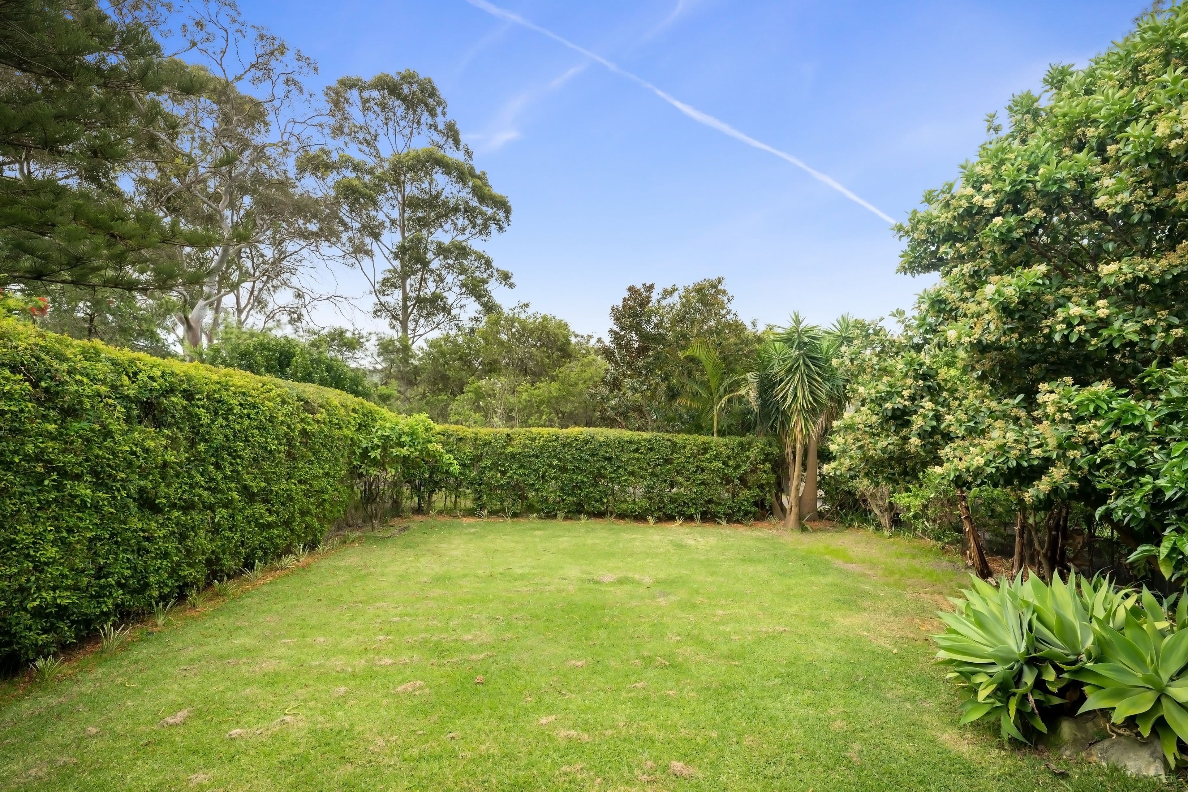35 Wesley Street, Elanora Heights NSW 2101, Elanora Heights - Thumbnail 7