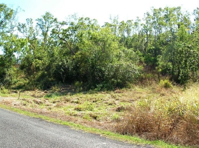 17 Fraser Ave, Maroochydore, QLD, 4558, Maroochydore - Thumbnail 2