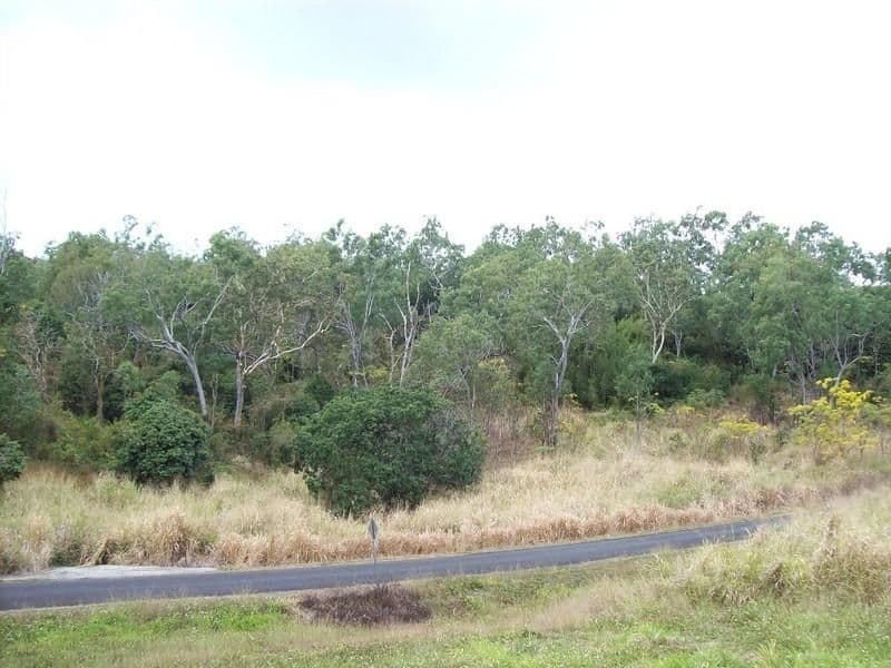 17 Fraser Ave, Maroochydore, QLD, 4558, Maroochydore - Thumbnail 3