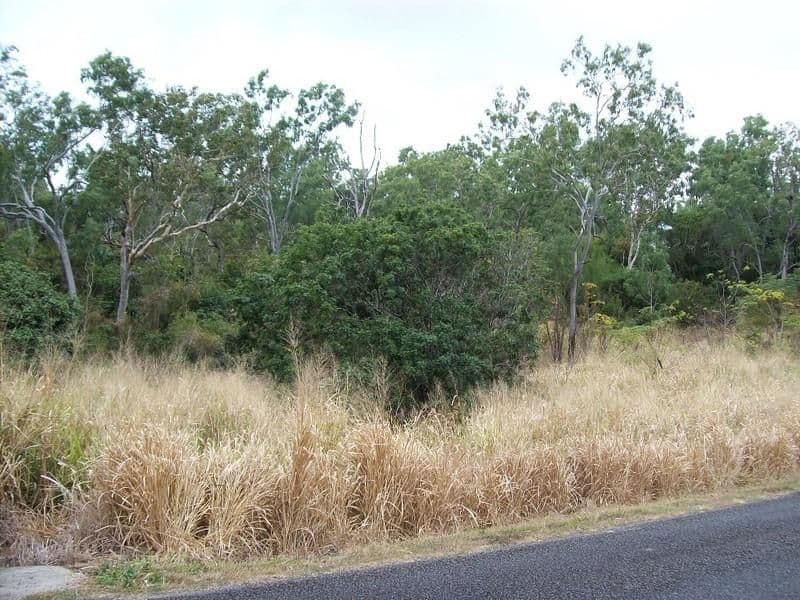 17 Fraser Ave, Maroochydore, QLD, 4558, Maroochydore - Thumbnail 4