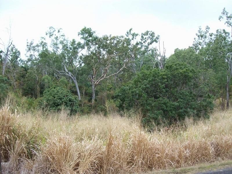17 Fraser Ave, Maroochydore, QLD, 4558, Maroochydore - Thumbnail 5