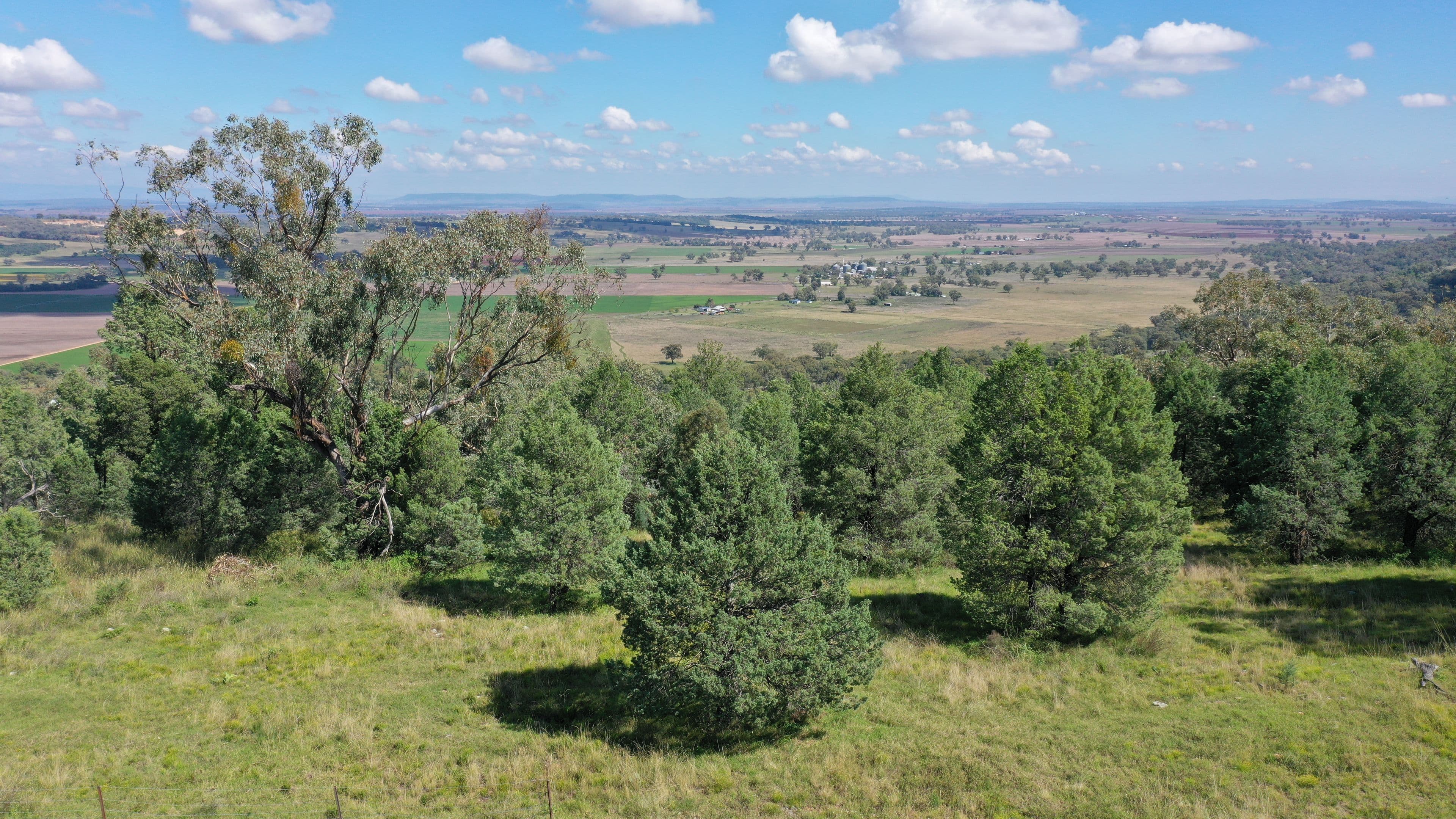 65 Ray Carter Drive, Quirindi NSW 2343, Quirindi - Image 1