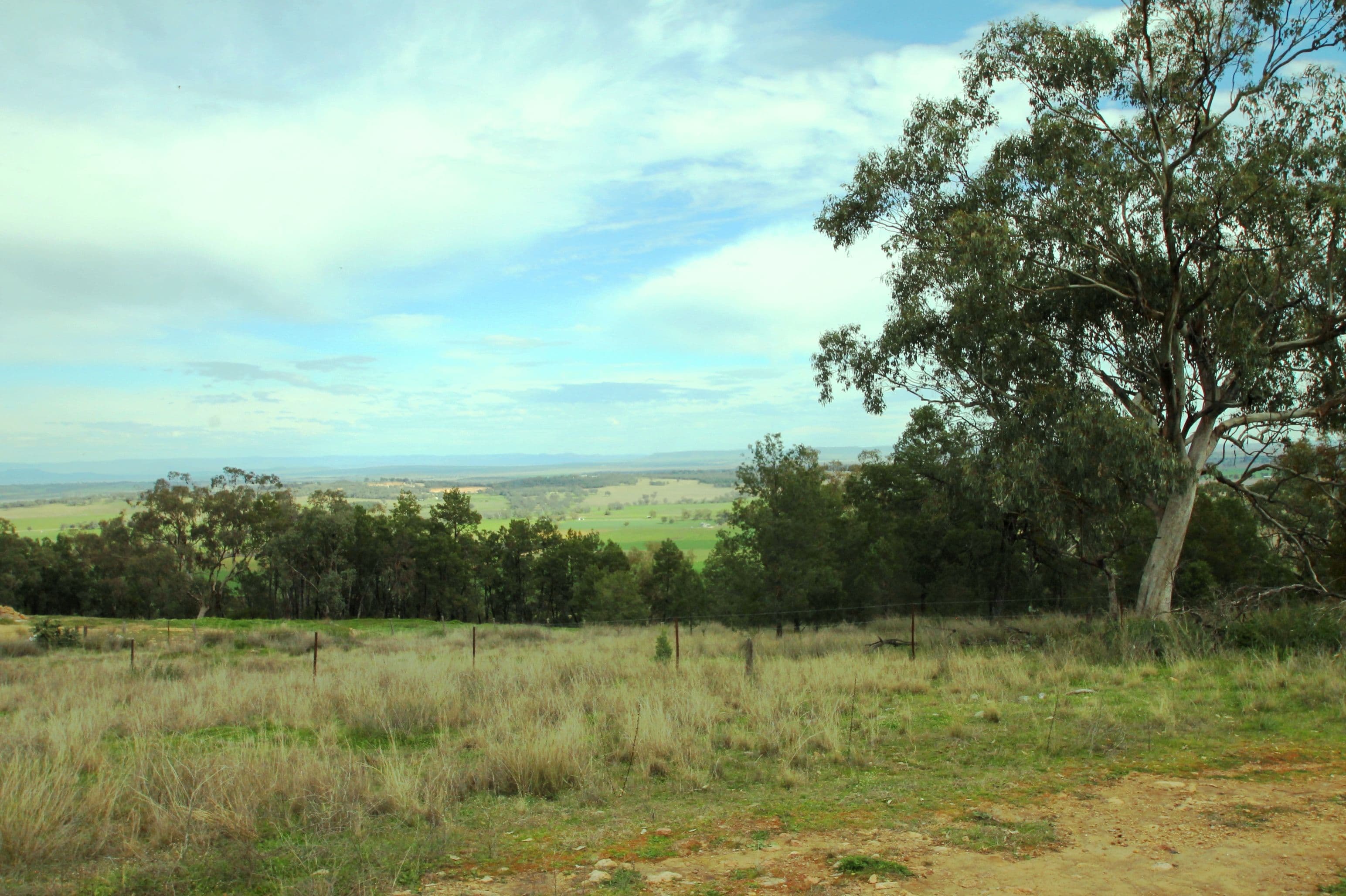 65 Ray Carter Drive, Quirindi NSW 2343, Quirindi - Thumbnail 2