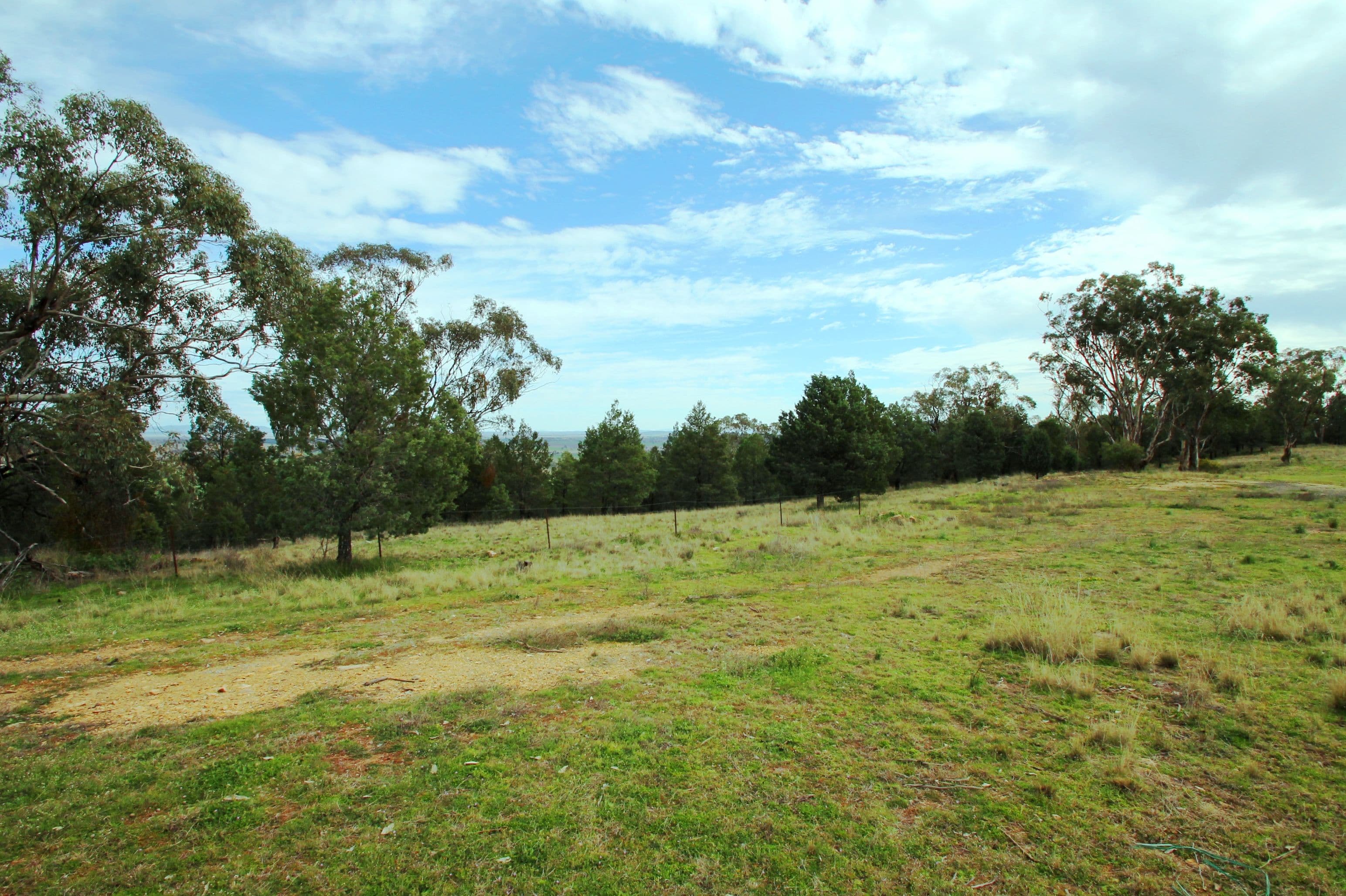 65 Ray Carter Drive, Quirindi NSW 2343, Quirindi - Thumbnail 3