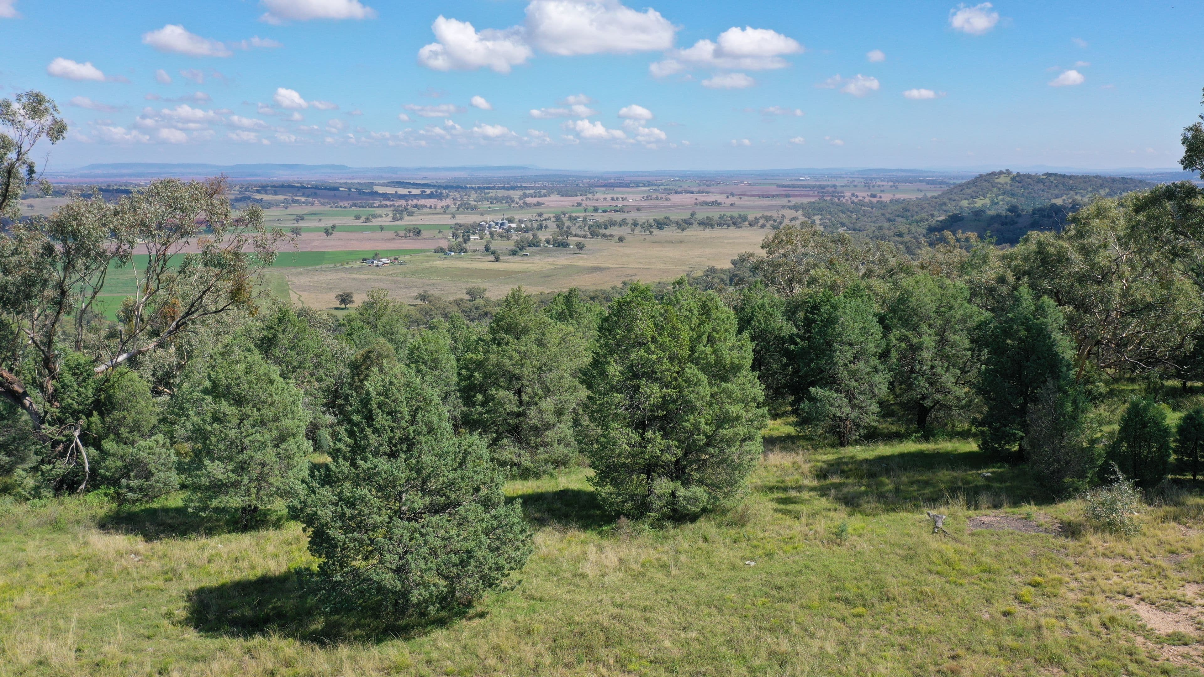65 Ray Carter Drive, Quirindi NSW 2343, Quirindi - Thumbnail 6