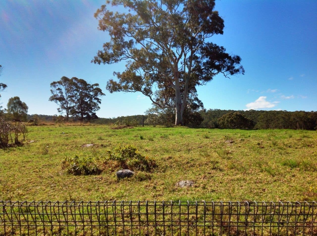 17a High Street, COOPERNOOK NSW 2426, Coopernook - Thumbnail 6
