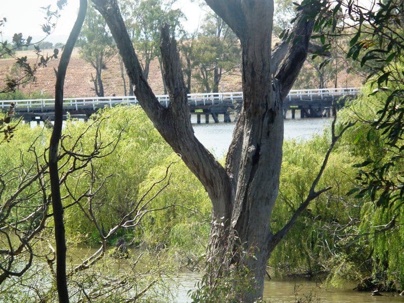 42 McLeod Street, NAGAMBIE VIC 3608, Nagambie - Thumbnail 6