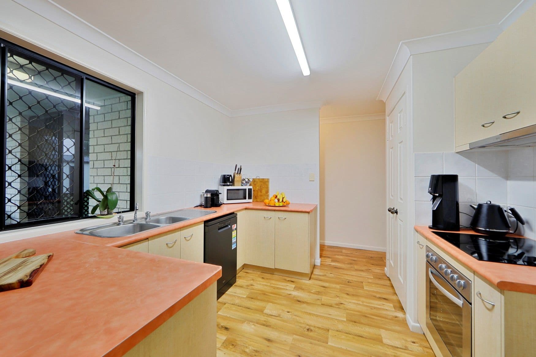 3 Inspiration Court, Avoca QLD 4670, Avoca - Thumbnail 8