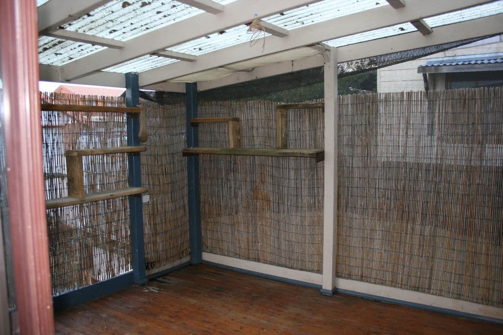 6 Opal Street, Goulburn NSW 2580, Goulburn - Thumbnail 7