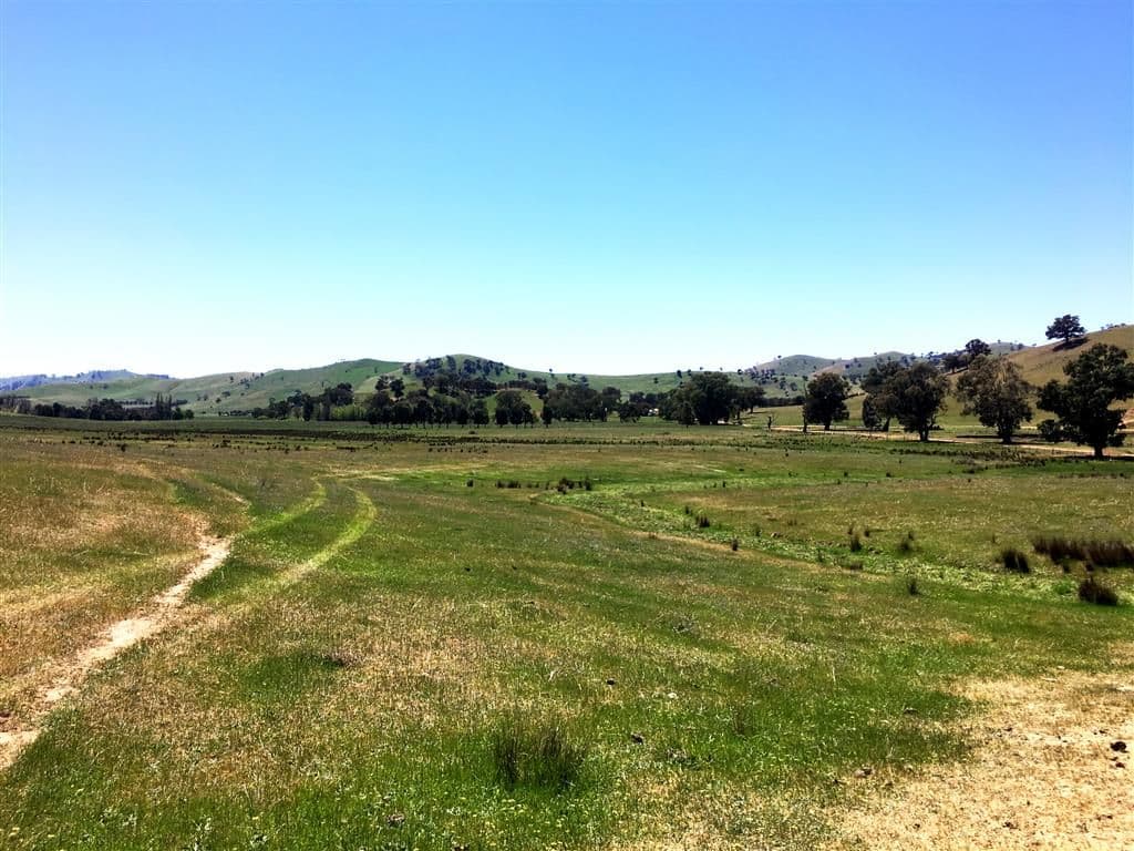 Lot 5 Readfords Road, Gundagai NSW 2722, South Gundagai - Image 1