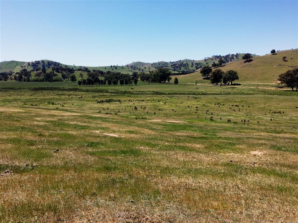 Lot 5 Readfords Road, Gundagai NSW 2722, South Gundagai - Thumbnail 2