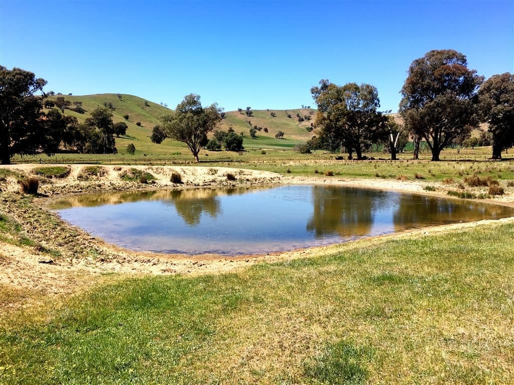 Lot 5 Readfords Road, Gundagai NSW 2722, South Gundagai - Thumbnail 3