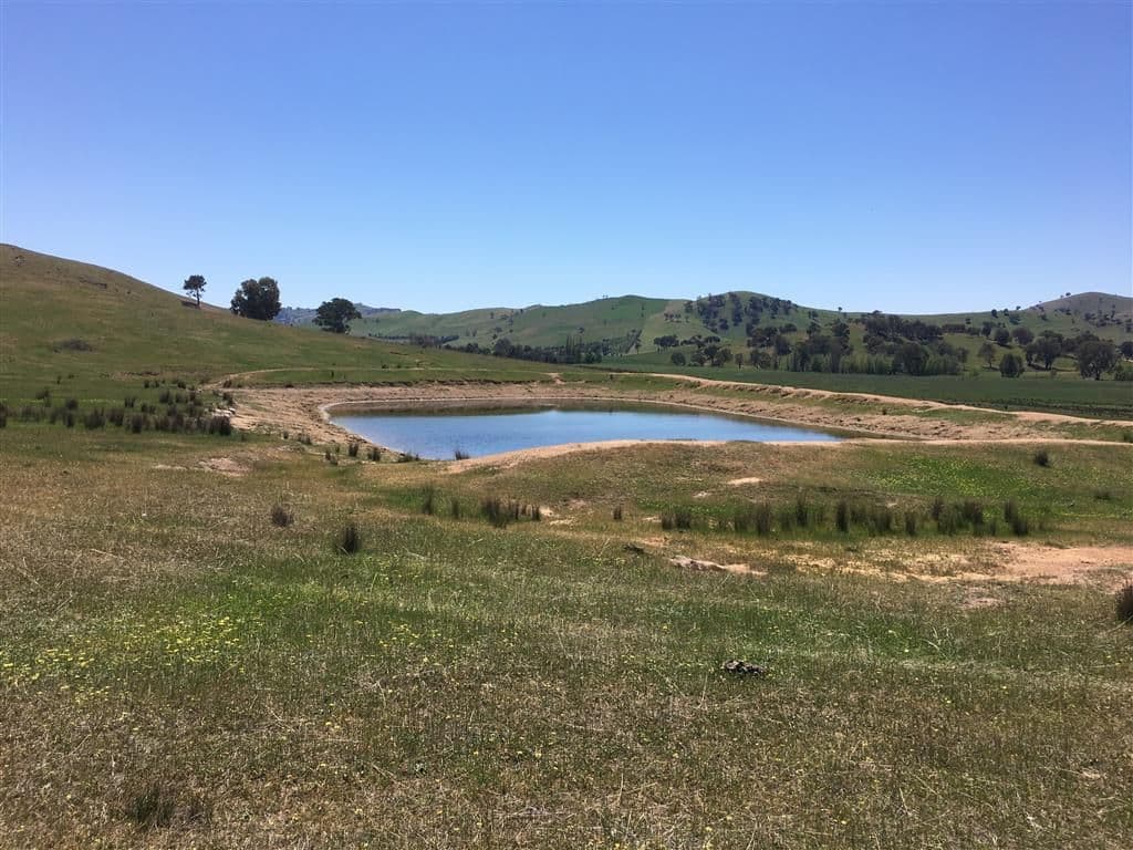 Lot 5 Readfords Road, Gundagai NSW 2722, South Gundagai - Thumbnail 4