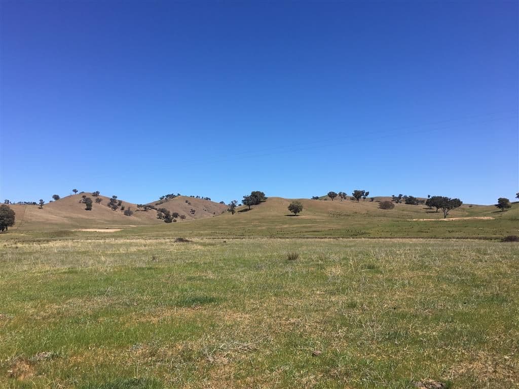 Lot 5 Readfords Road, Gundagai NSW 2722, South Gundagai - Thumbnail 5