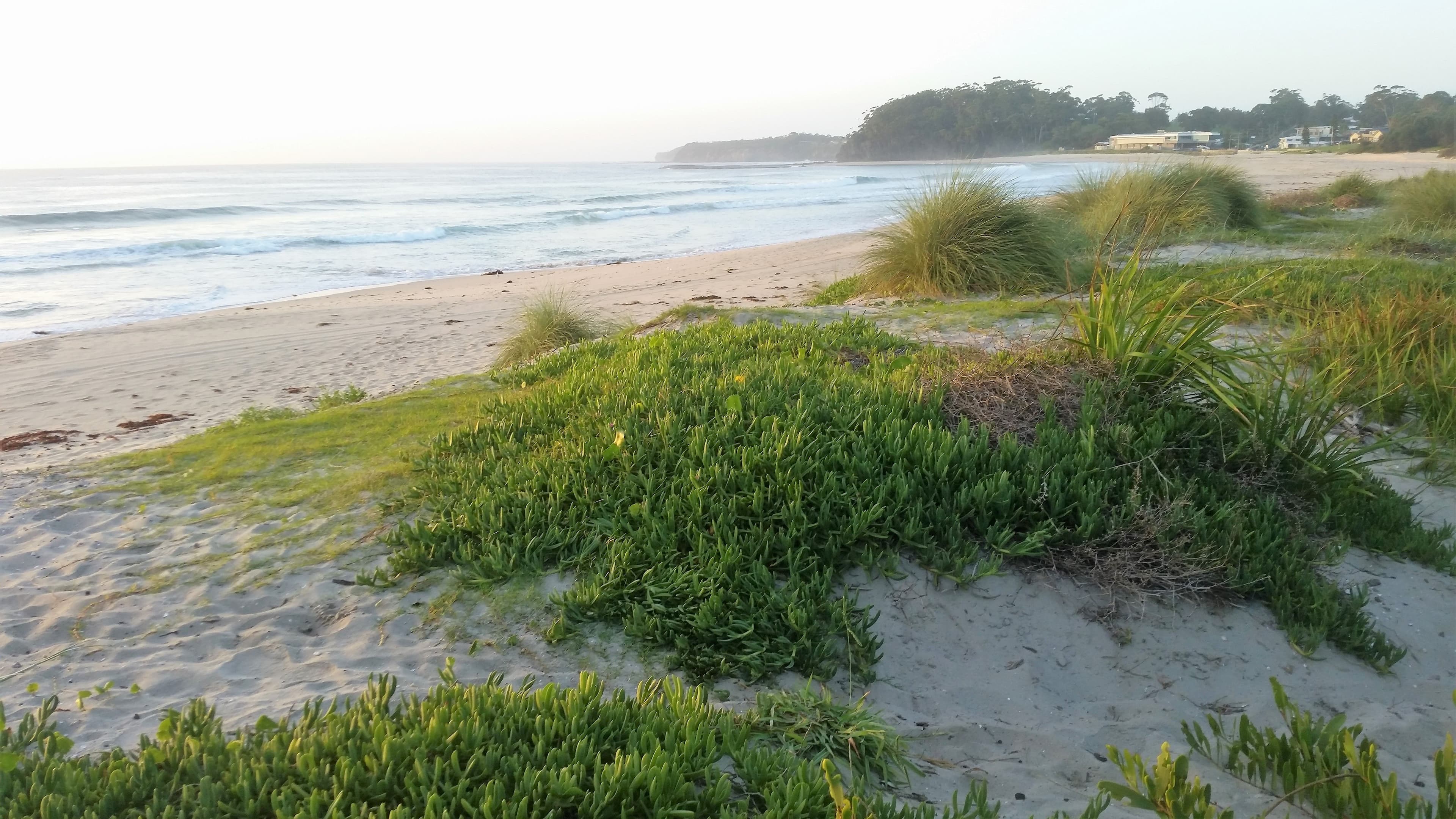 24 Mitchell Parade, Mollymook Beach - Thumbnail 7