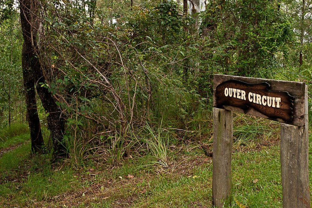 104  Robinson Road, South, OCEAN VIEW QLD 4521, Ocean View - Thumbnail 3