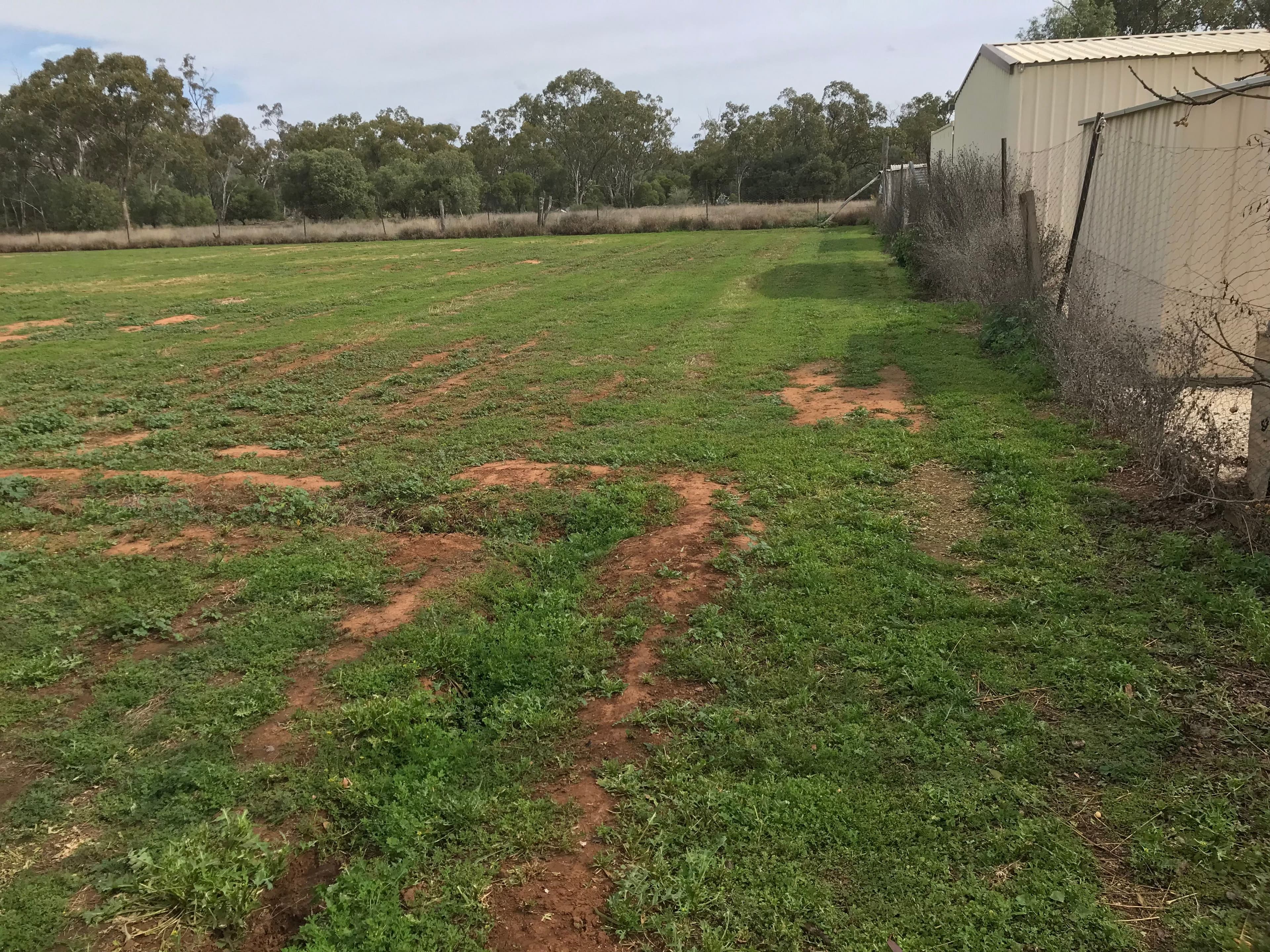 11 South Street, Morven QLD 4468, Morven - Thumbnail 2