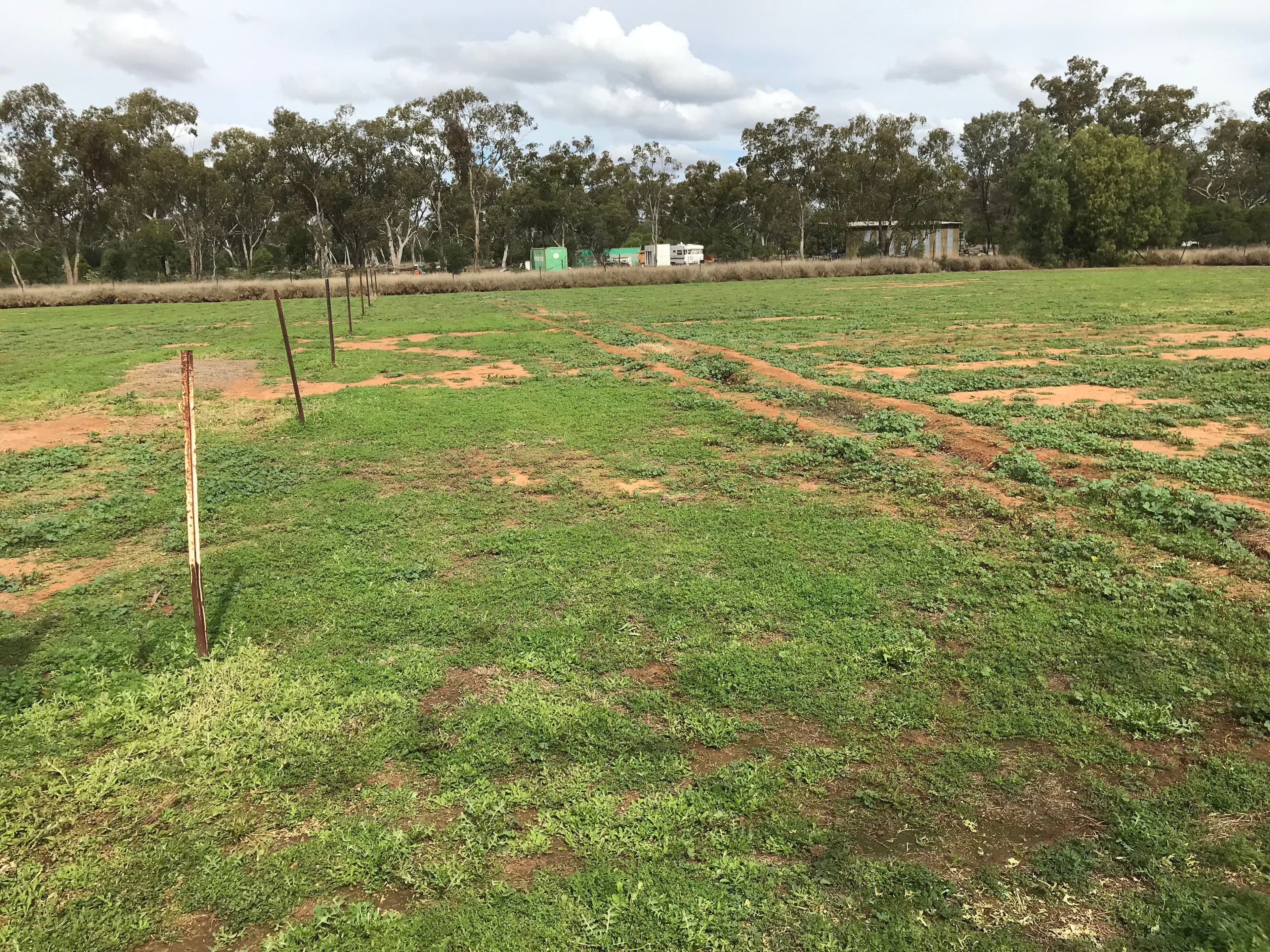 11 South Street, Morven QLD 4468, Morven - Thumbnail 3