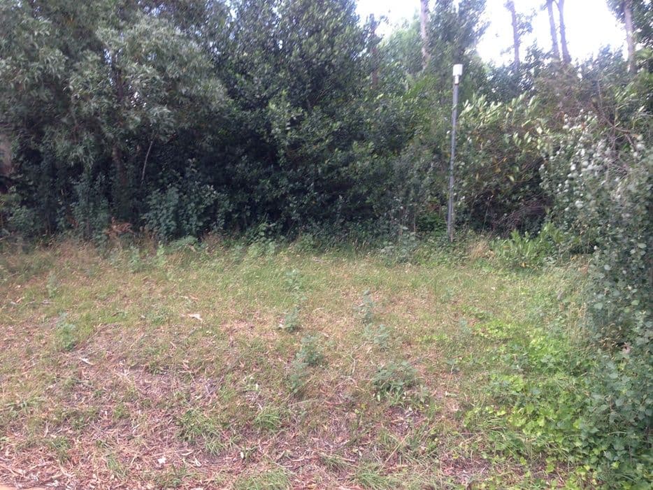 104 Station Street, BLACKHEATH NSW 2785, Blackheath - Image 1