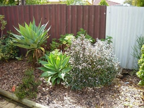 34 Lawrence Street, GOSNELLS WA 6110, Gosnells - Thumbnail 6