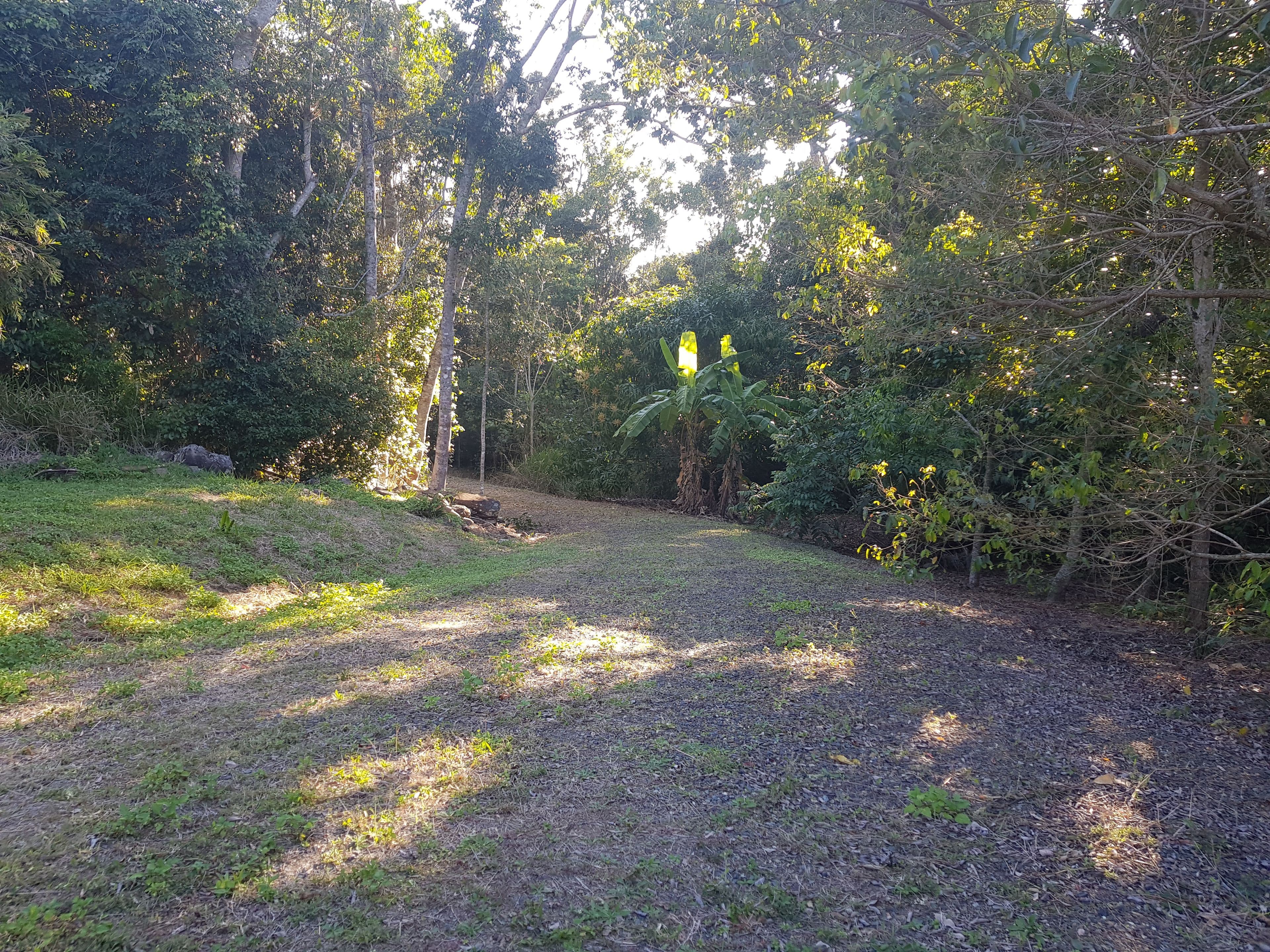 Lot 198 Camille Drive, Strathdickie QLD 4800, Strathdickie - Image 1