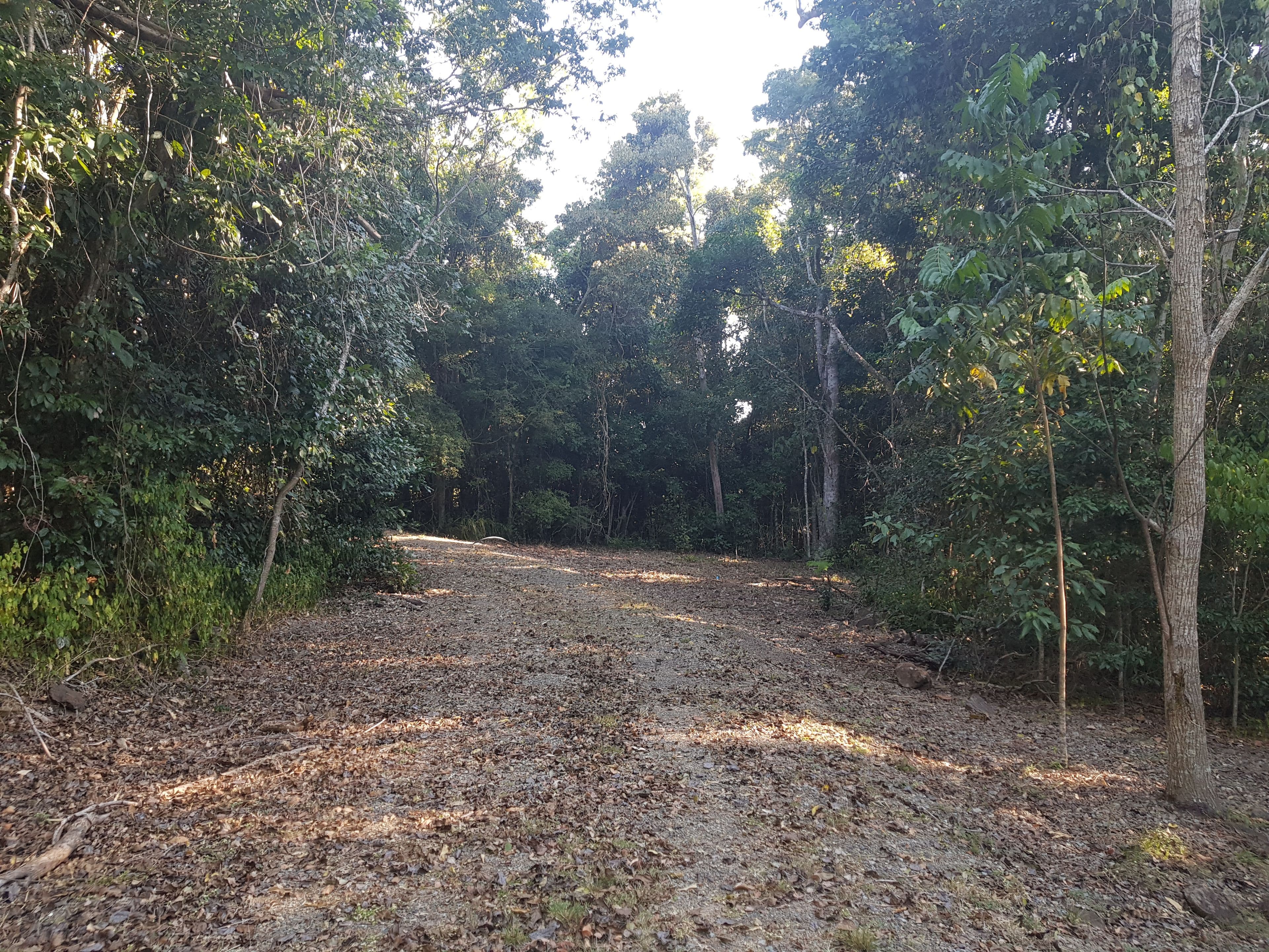Lot 198 Camille Drive, Strathdickie QLD 4800, Strathdickie - Thumbnail 5
