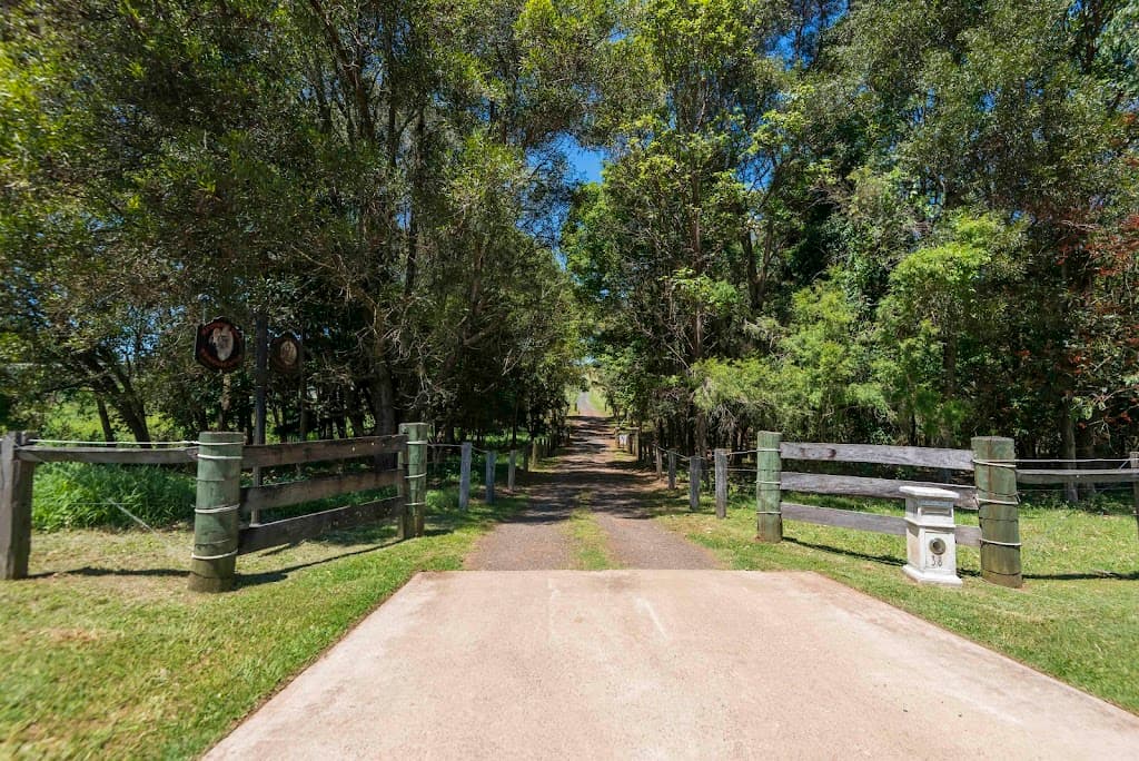 38 May Street, Dunoon, NSW, 2480, Dunoon - Image 1