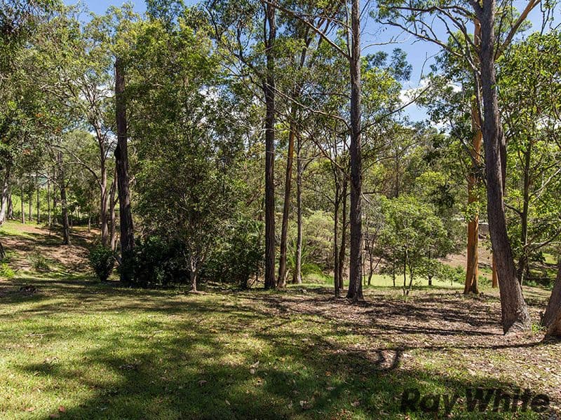 7 Shasta Court, Cashmere QLD 4500, Cashmere - Thumbnail 6