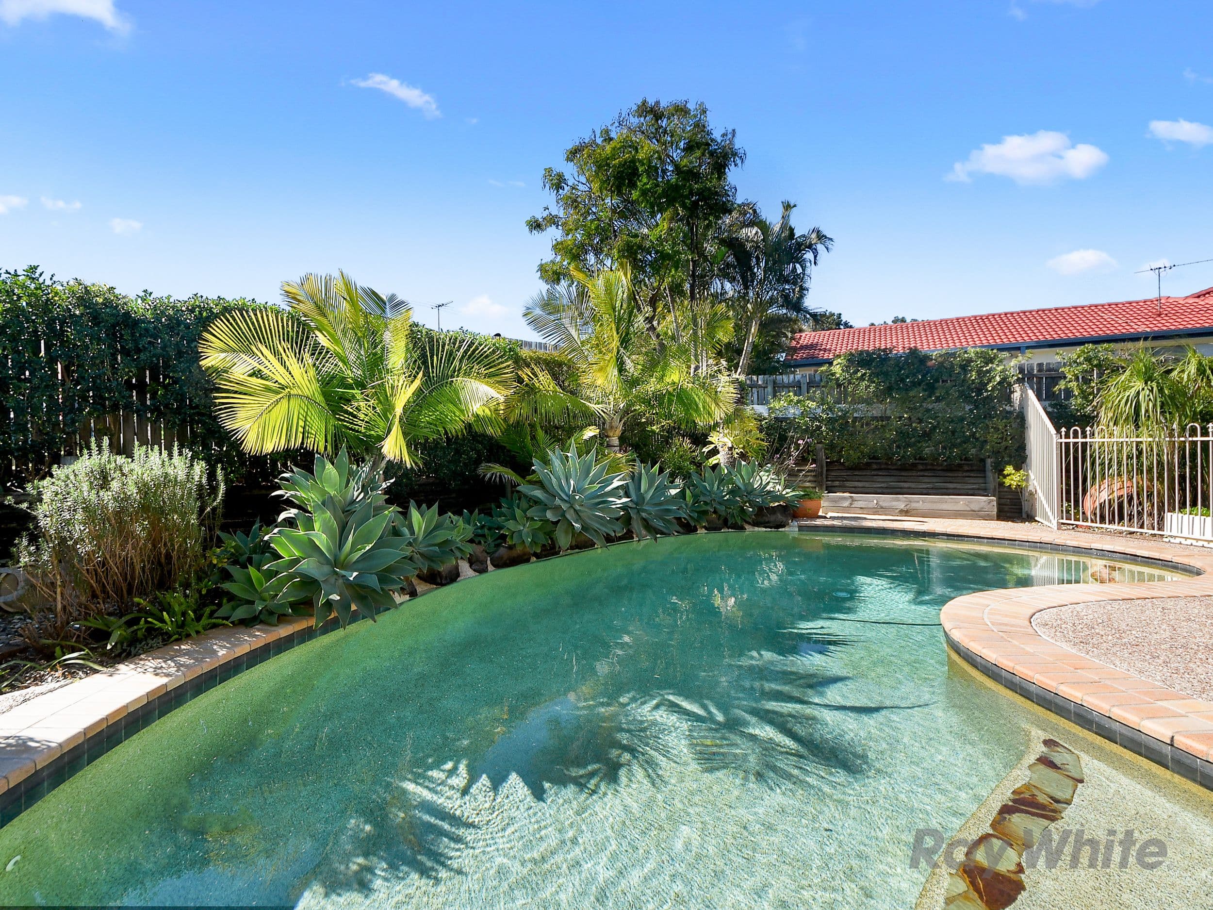 33 Cosette Street, Bracken Ridge QLD 4017, Bracken Ridge - Thumbnail 2