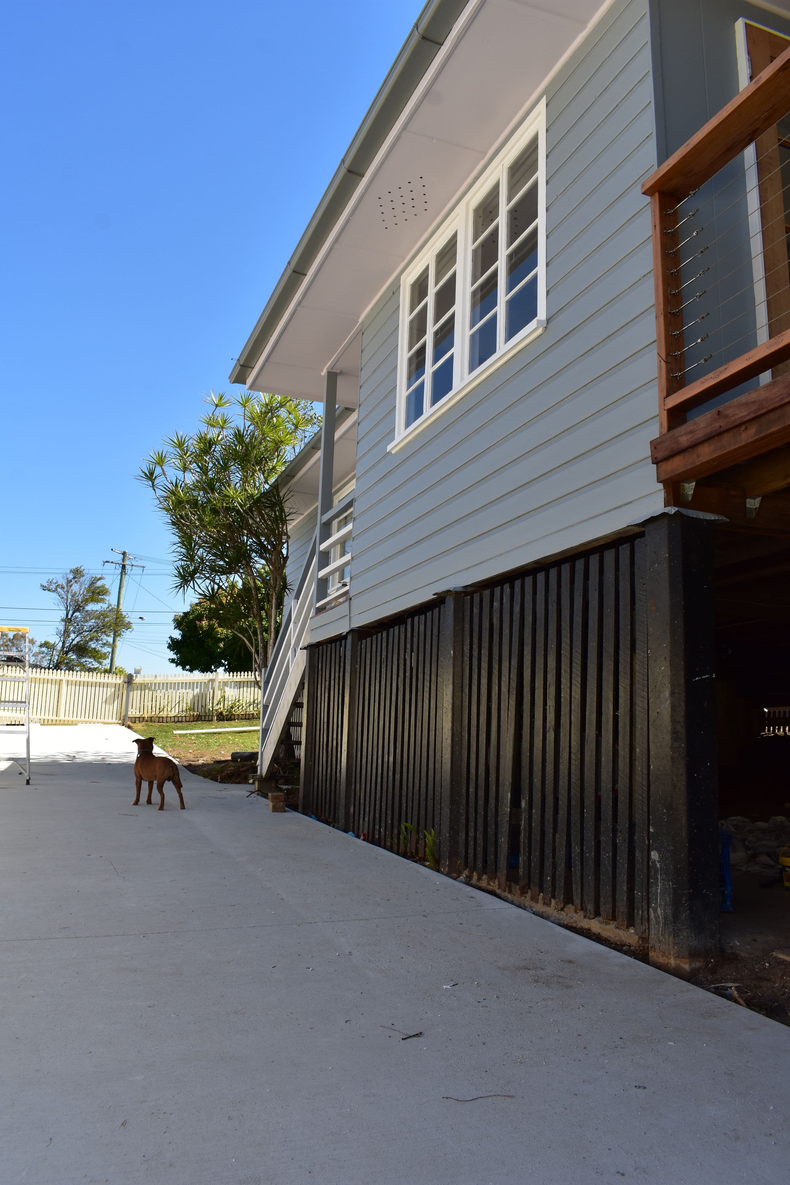 49 BESLEY Street, Mount Gravatt East QLD 4122, Mount Gravatt East - Thumbnail 3