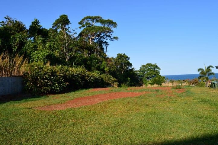 Lot 117 Campbell Street, Mission Beach QLD 4852, Mission Beach - Thumbnail 2