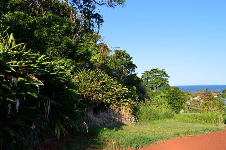 Lot 117 Campbell Street, Mission Beach QLD 4852, Mission Beach - Thumbnail 5