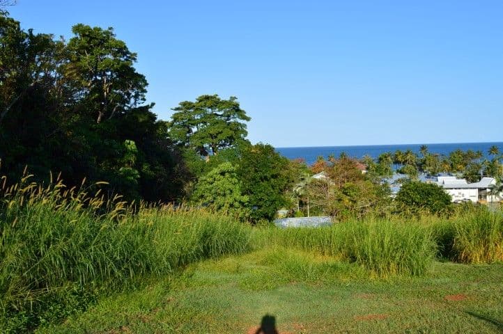 Lot 117 Campbell Street, Mission Beach QLD 4852, Mission Beach - Thumbnail 7