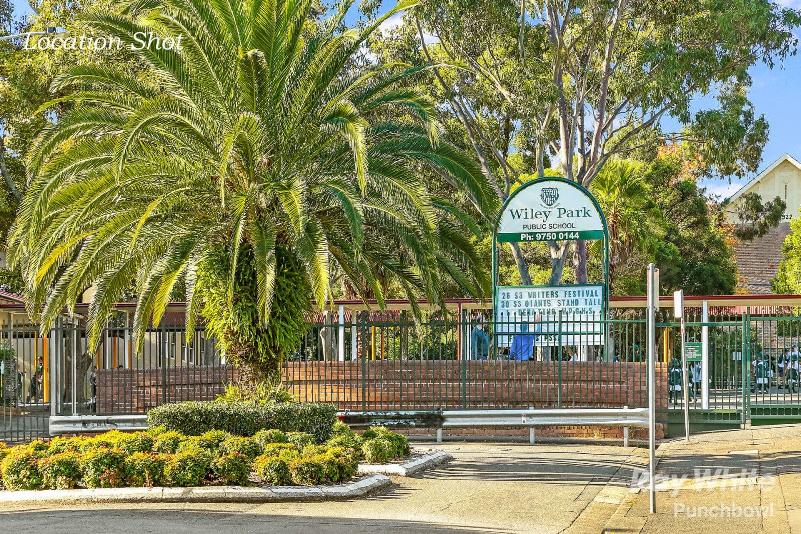 80 Beauchamp Street, Wiley Park NSW 2195, Wiley Park - Thumbnail 5