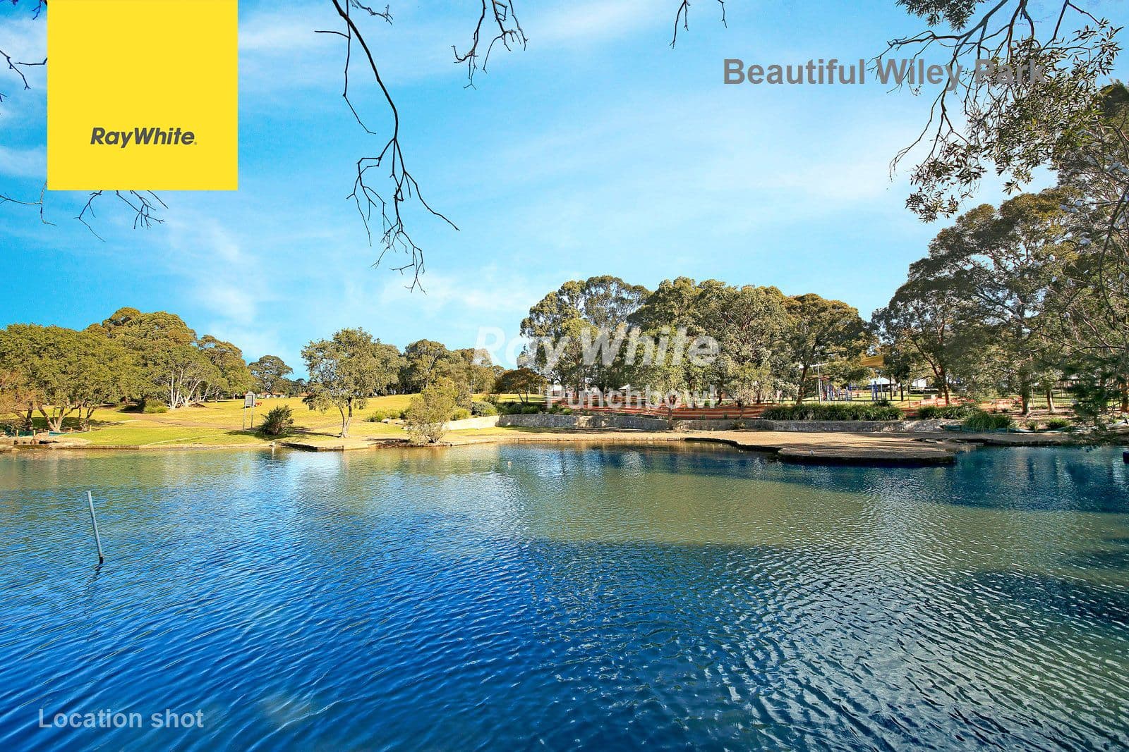 80 Beauchamp Street, Wiley Park NSW 2195, Wiley Park - Thumbnail 6