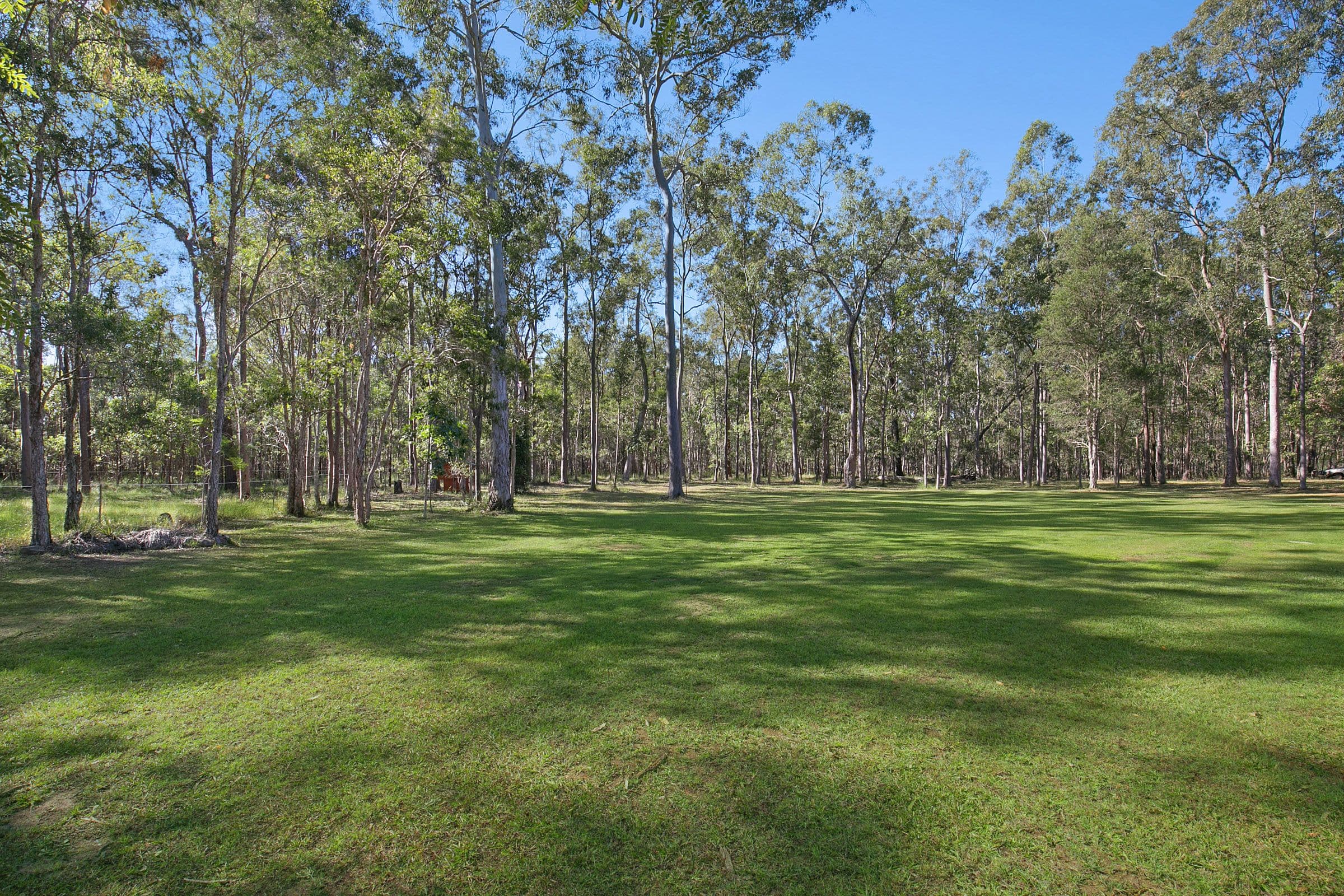 55 Stern Road, Carbrook QLD 4130, Carbrook - Thumbnail 2