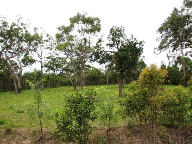 43 Bernborough Boulevard, BRANYAN QLD 4670, Branyan - Image 1